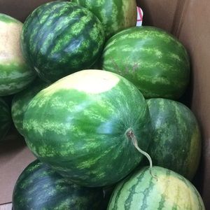 Meet your Posher, Cambrid